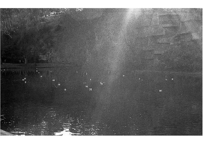 Parc des Buttes-Chaumont 03