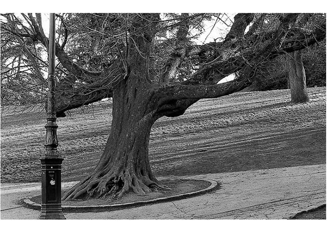 Parc des Buttes-Chaumont 02