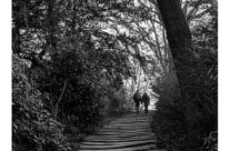 L’escalier